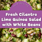 Cilantro Lime Quinoa Salad Recipe