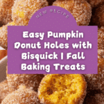 Easy Bisquick Pumpkin Donut Holes Recipe