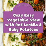 Easy Vegetable Stew Recipe