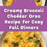 Broccoli Cheddar Orzo Recipe