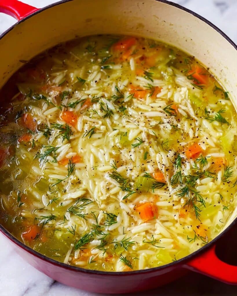 Easy Orzo, Leek and Dill Soup Recipe